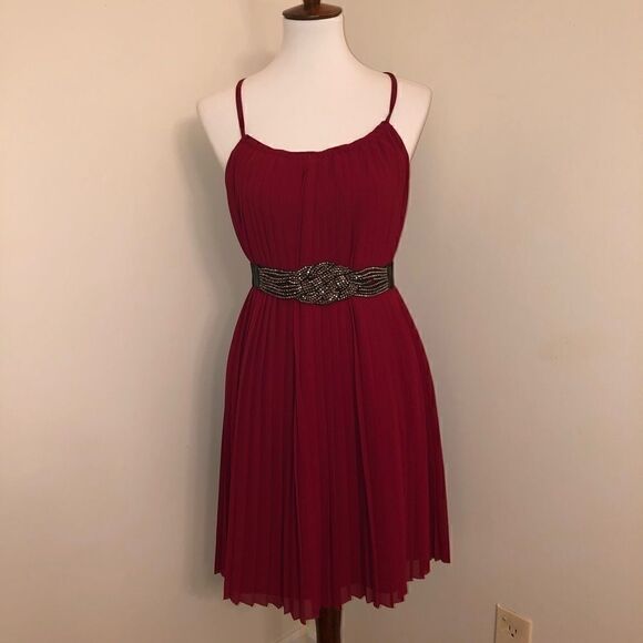 Love 21 | Cranberry Red Accordion Pleated Dress - Picture 3 of 6